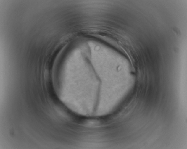 X0000113590220200910161850