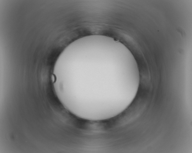 X0000113590221200910161850