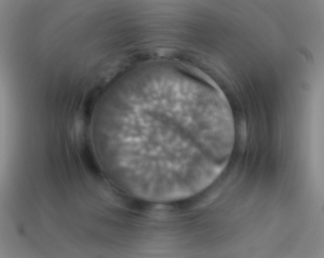 X0000113590222200910161850