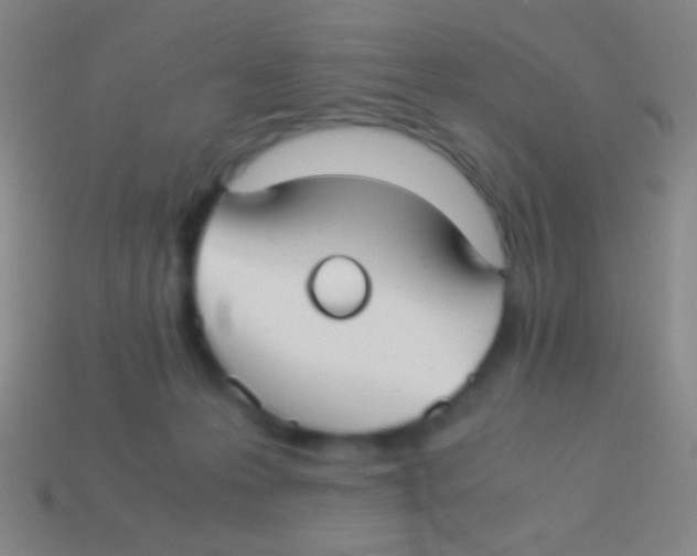 X0000113590223200910161850