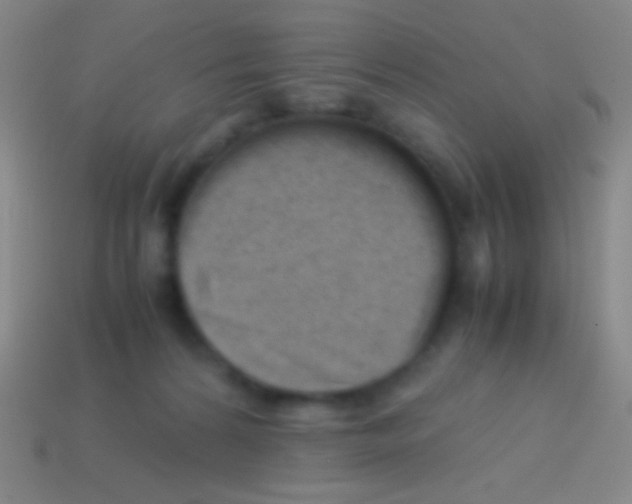 X0000113590224200910161850