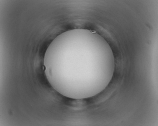 X0000113590225200910161850
