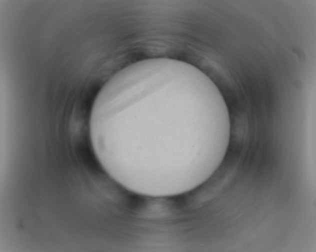 X0000113590226200910161850