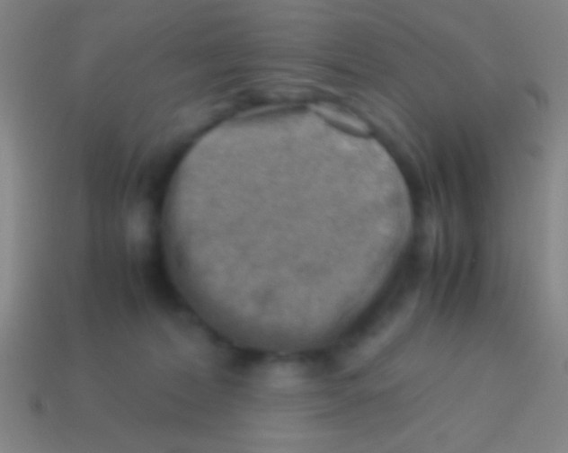 X0000113590228200910161850