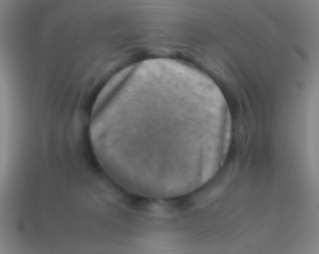 X0000113590229200910161850