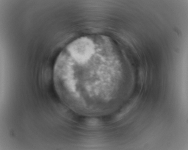 X0000113590230200910161850