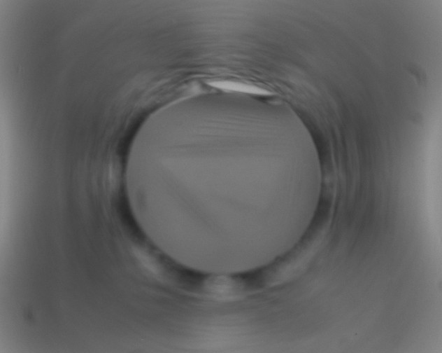 X0000113590231200910161850