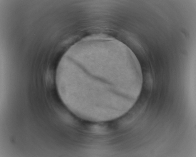 X0000113590232200910161850