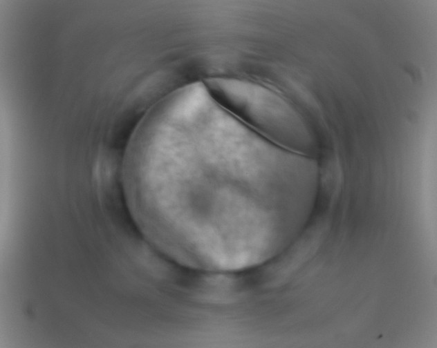 X0000113590233200910161850