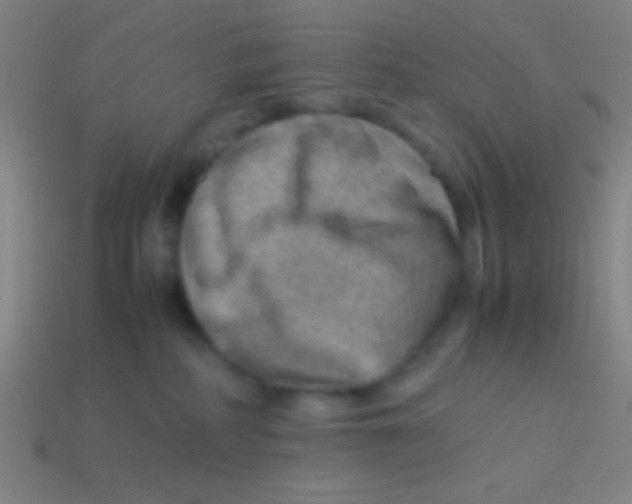 X0000113590234200910161850