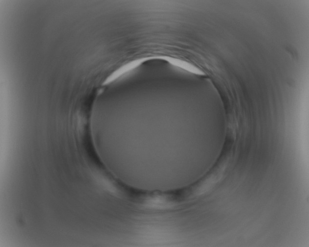 X0000113590235200910161850