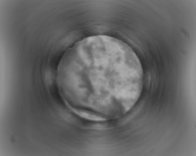 X0000113590236200910161850