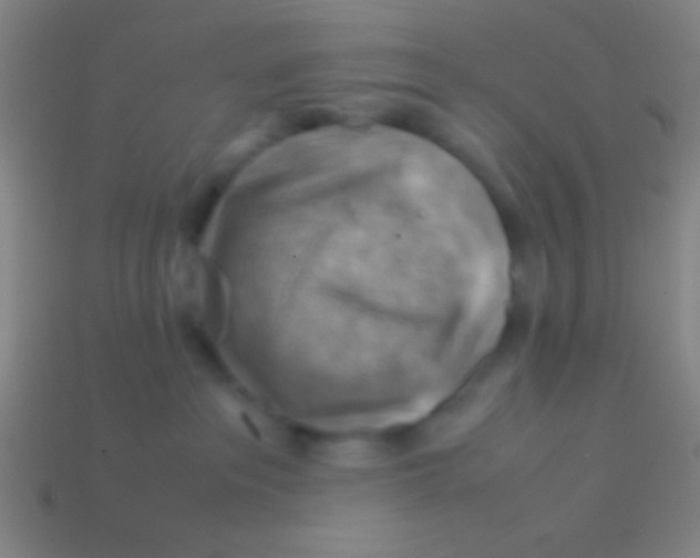 X0000113590237200910161850