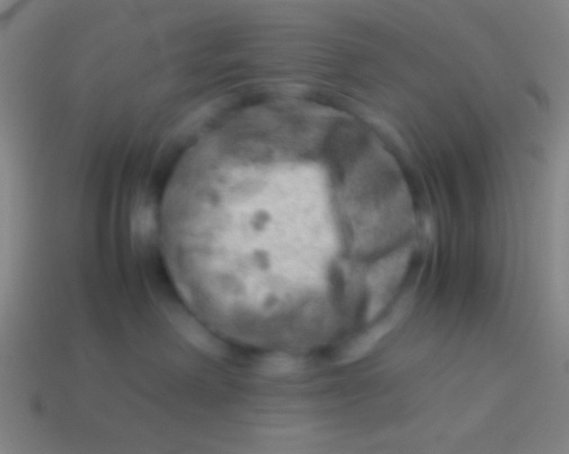 X0000113590238200910161850