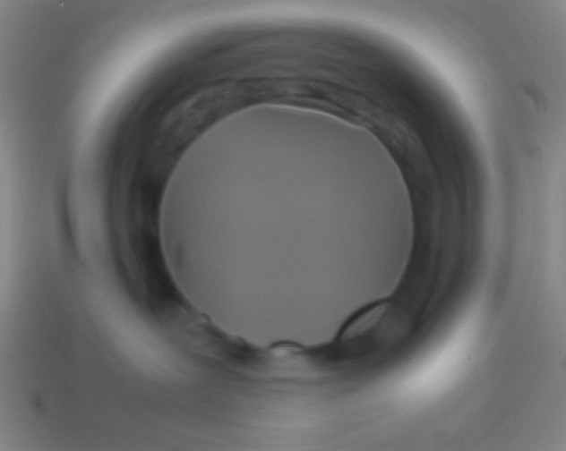X0000113590239200910161850