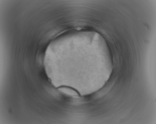 X0000113590240200910161850