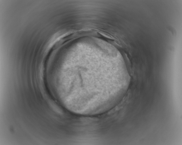 X0000113590242200910161849