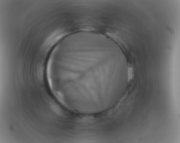 X0000113590243200910161849
