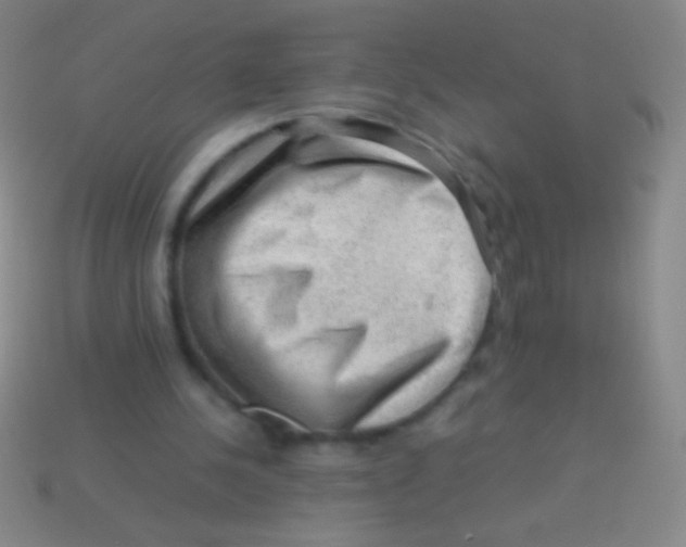 X0000113590244200910161849