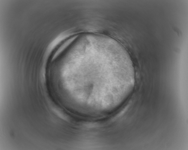 X0000113590246200910161849