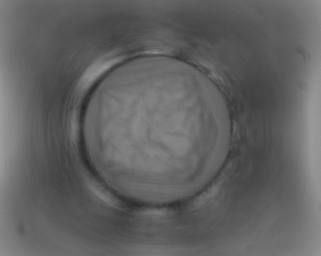 X0000113590247200910161849