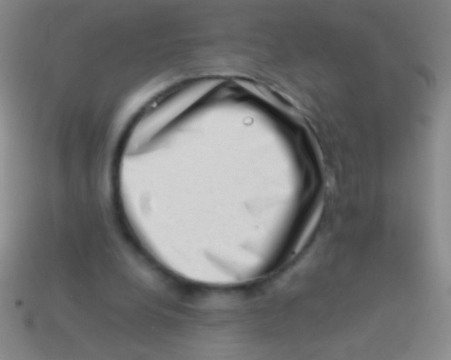 X0000113590248200910161849