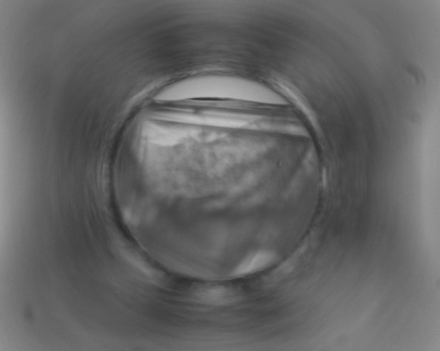X0000113590249200910161849