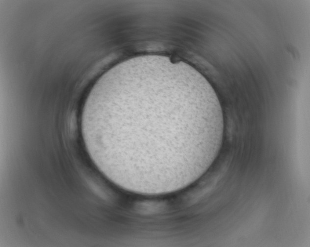 X0000113590251200910161849