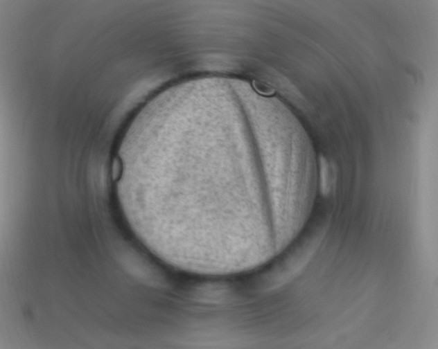 X0000113590252200910161849