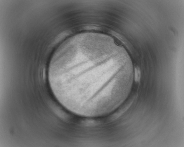 X0000113590253200910161849