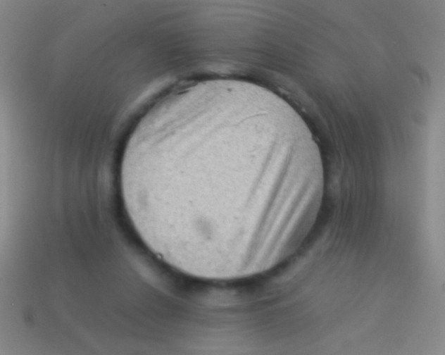 X0000113590256200910161849