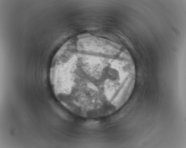 X0000113590257200910161849