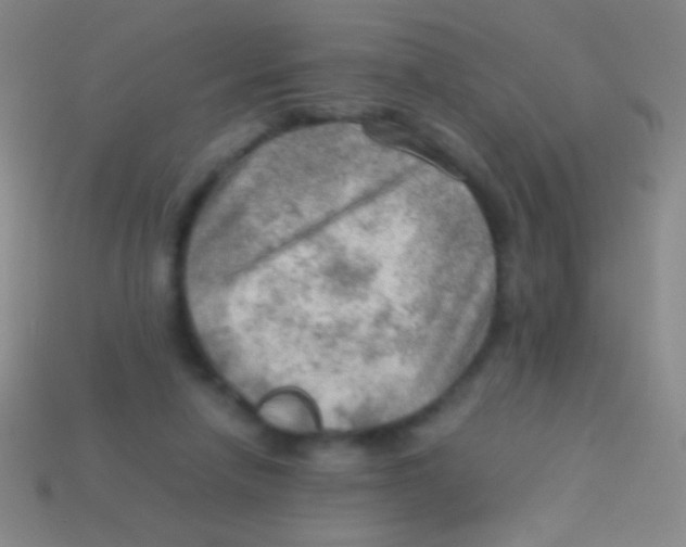 X0000113590258200910161849