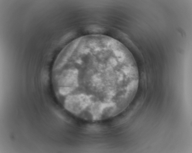 X0000113590259200910161849