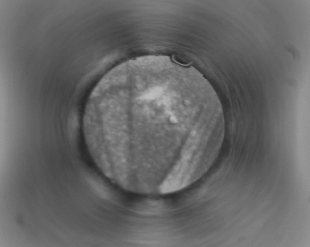X0000113590260200910161849