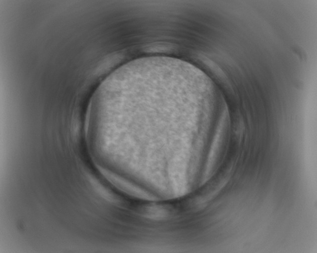 X0000113590261200910161849