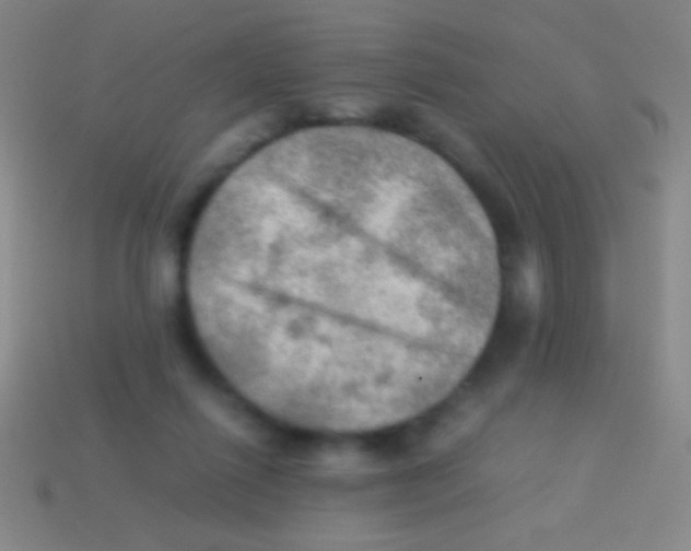 X0000113590262200910161849