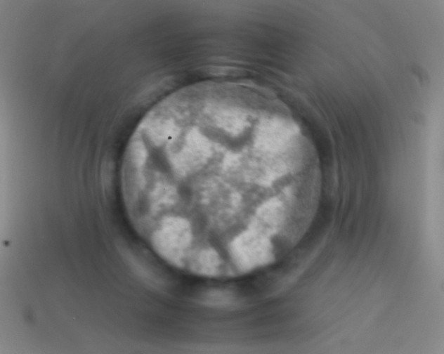 X0000113590263200910161849