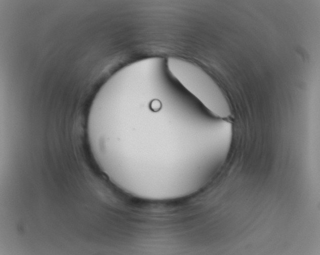 X0000113590264200910161849
