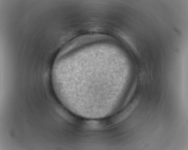 X0000113590265200910161849
