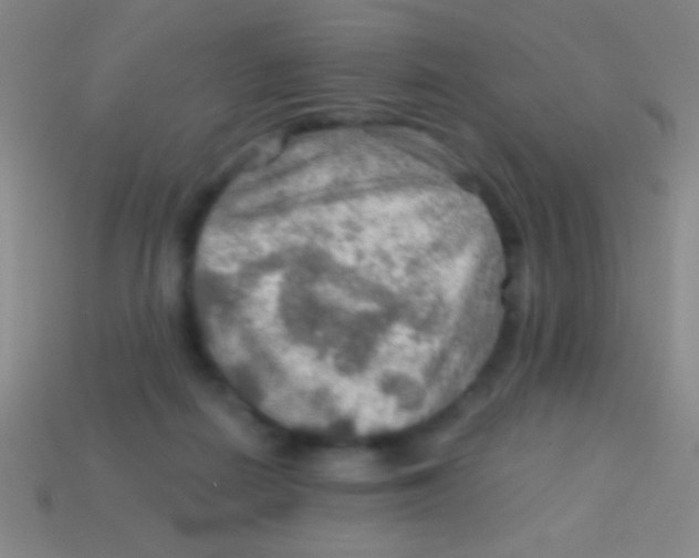 X0000113590266200910161849