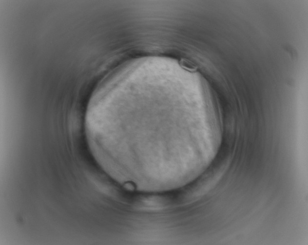 X0000113590268200910161849