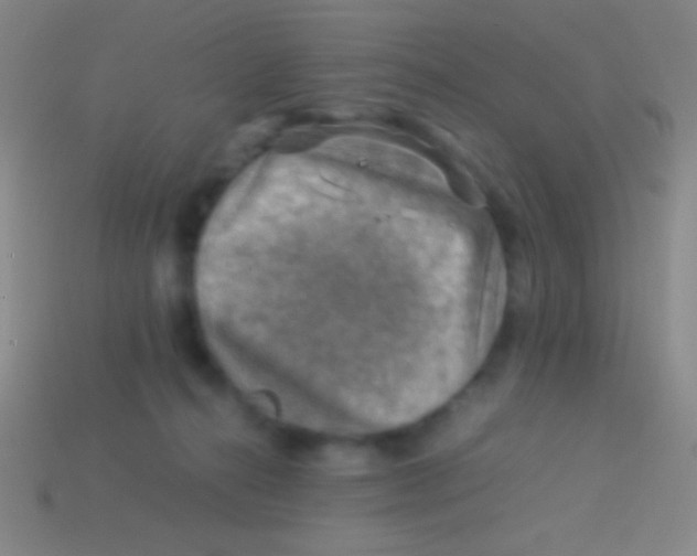 X0000113590272200910161849