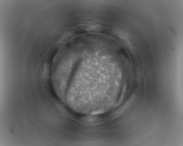 X0000113590273200910161849