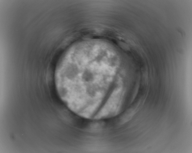 X0000113590274200910161849
