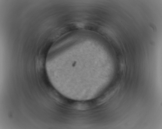 X0000113590275200910161849