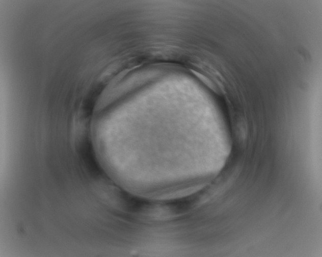 X0000113590276200910161849