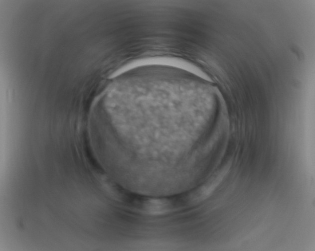X0000113590277200910161850