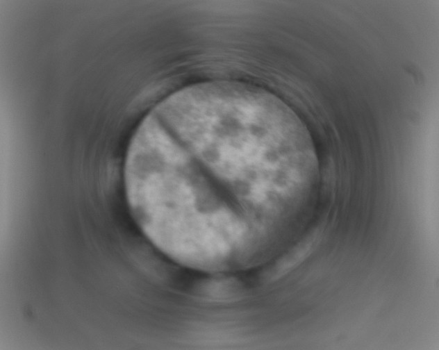 X0000113590278200910161850