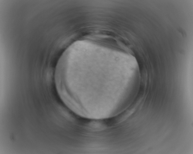 X0000113590280200910161850